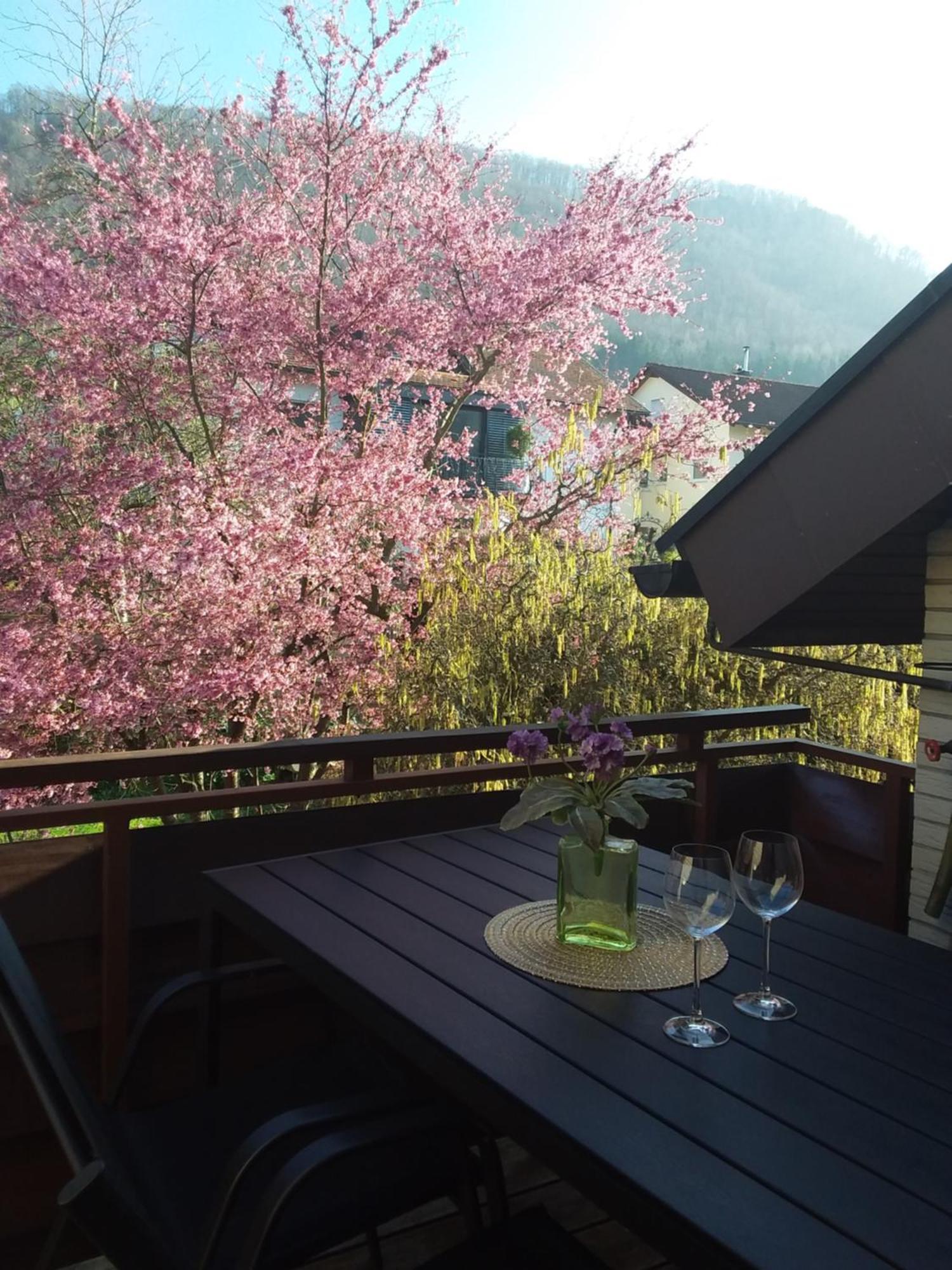 Sterngaessle Apartment Deggingen Exterior photo